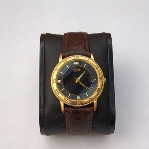 Citizen Gold and Black Watch